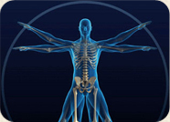 Rehabilitation Therapy